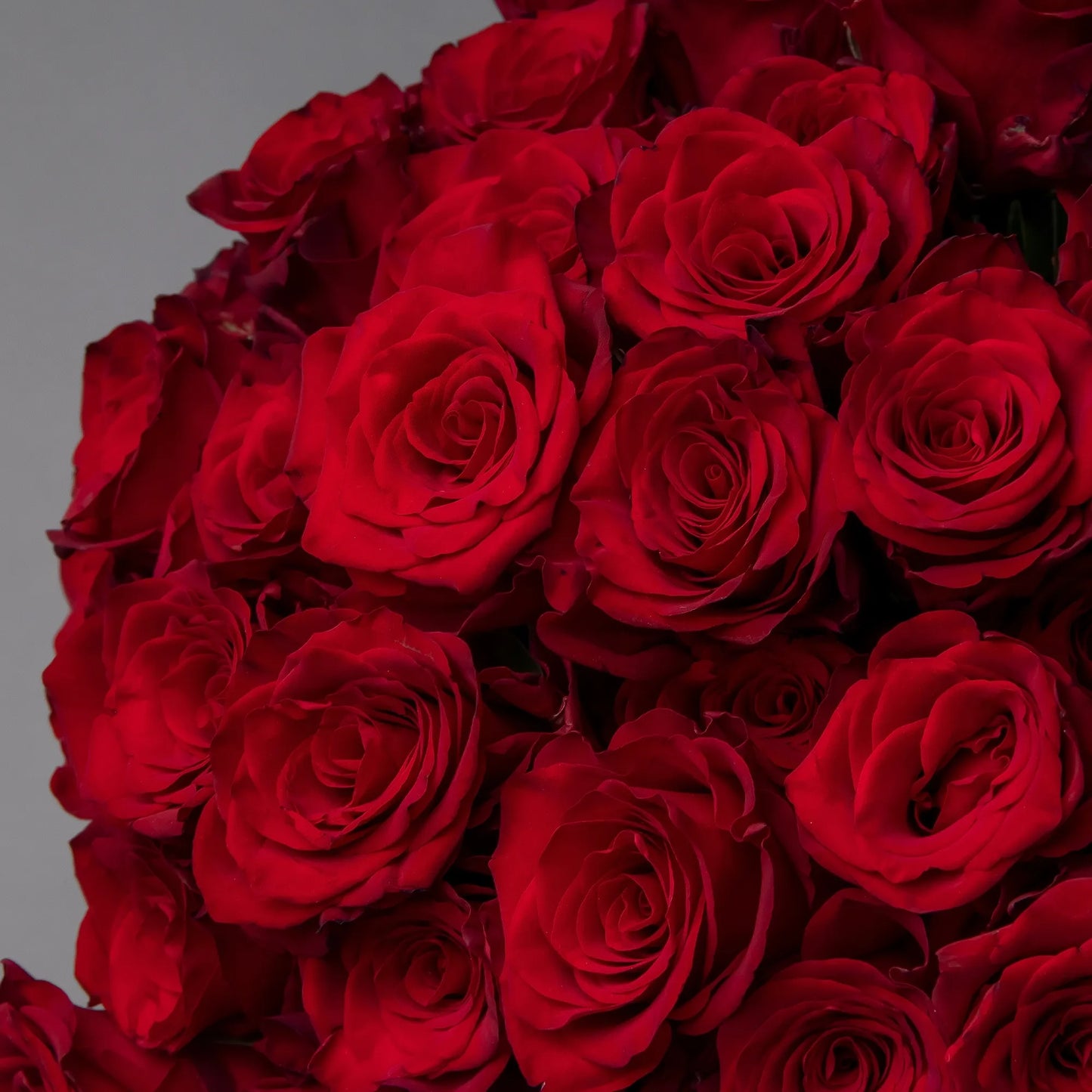 Close-up of lush red roses in large romantic bouquet