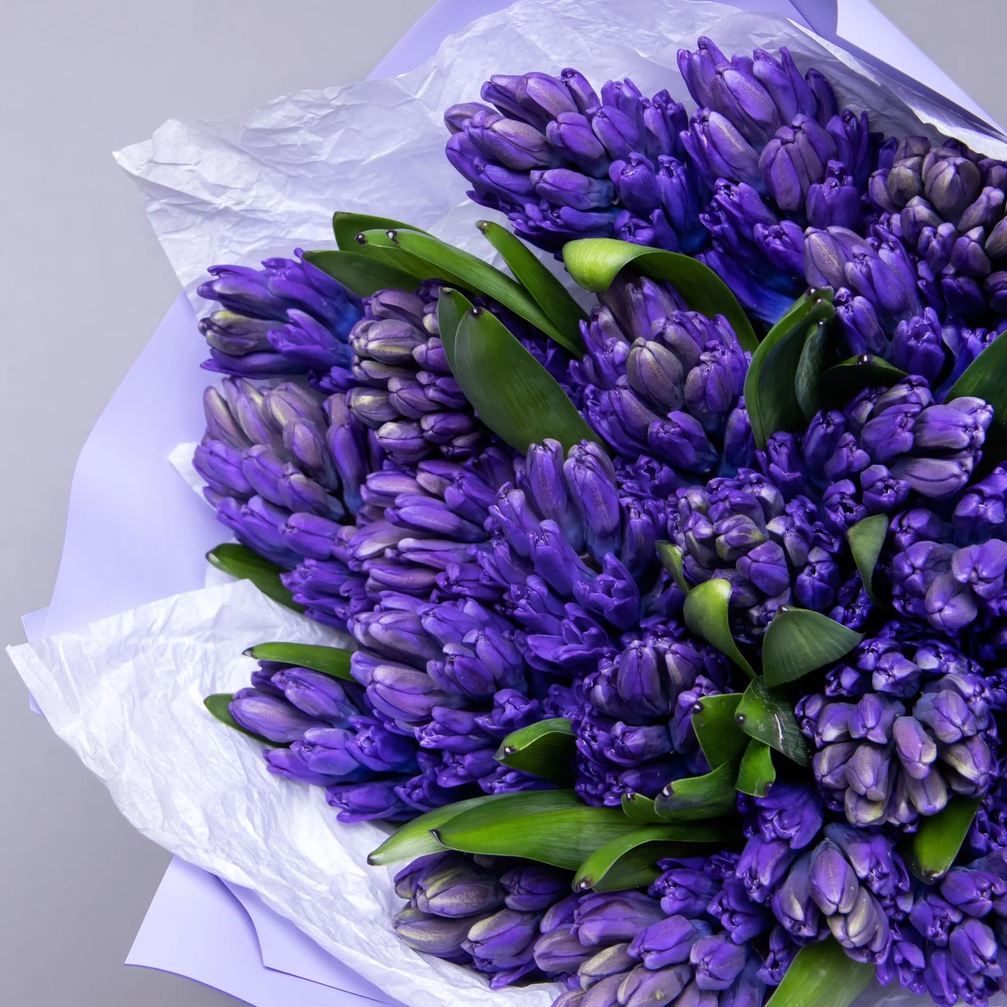 Close-up of blue hyacinths in fragrant spring bouquet