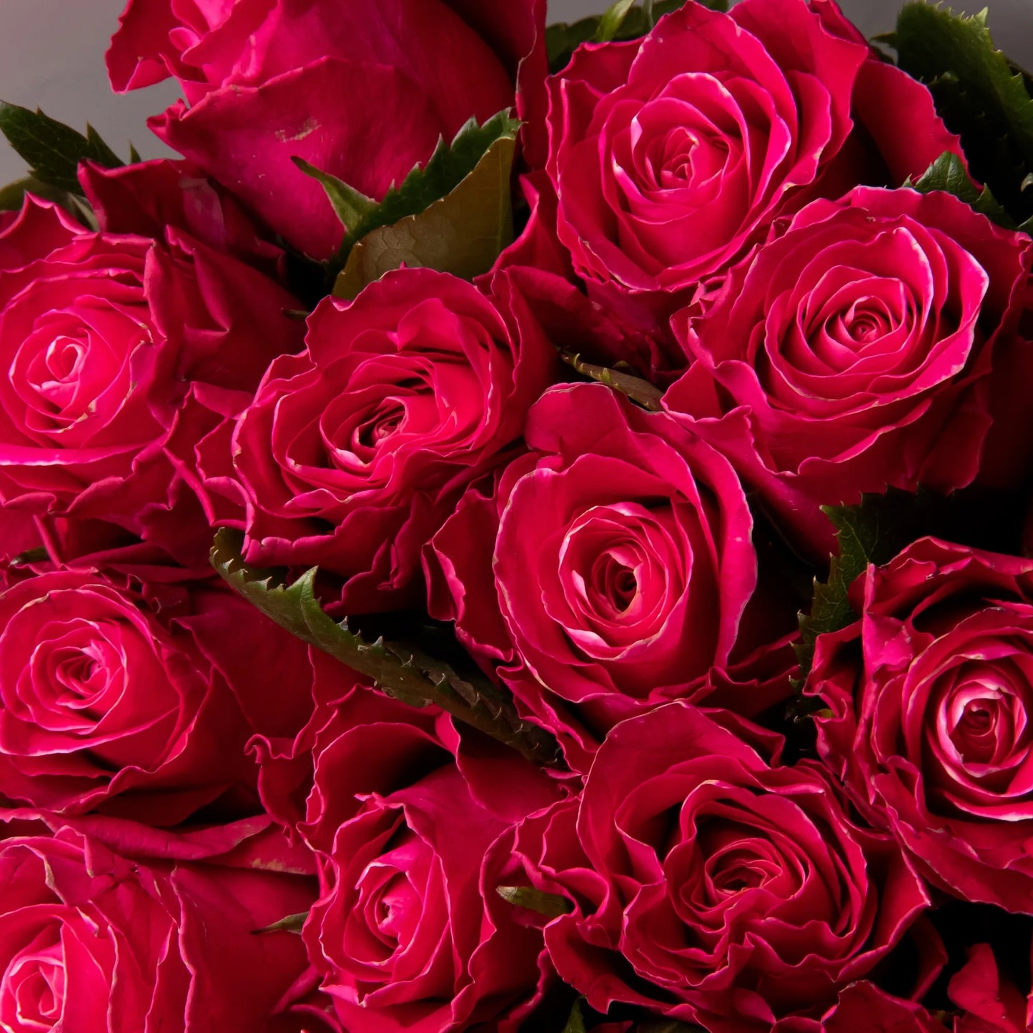 Close-up of hot pink rose petals in vibrant bouquet