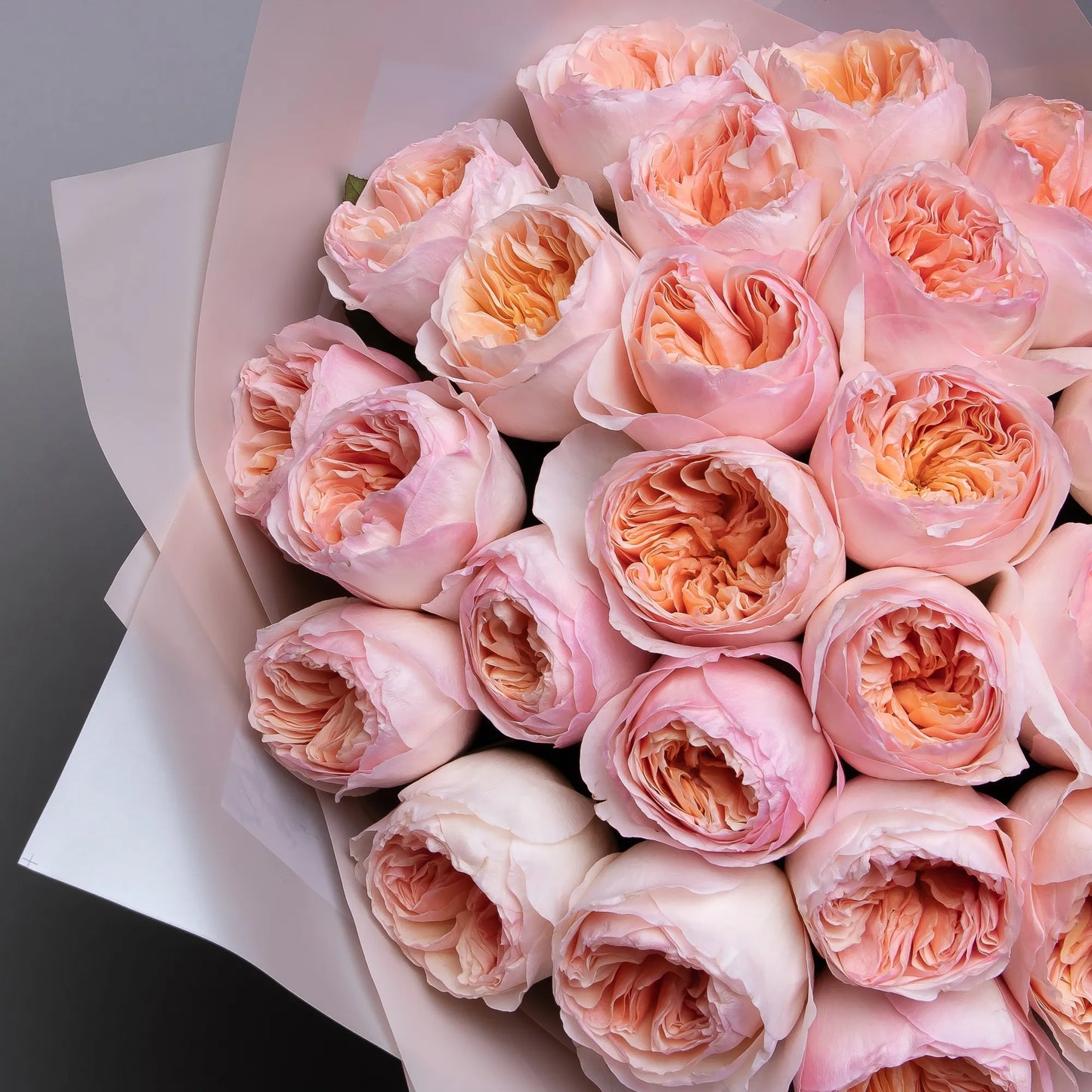 Close-up of Juliet garden roses in romantic full bouquet