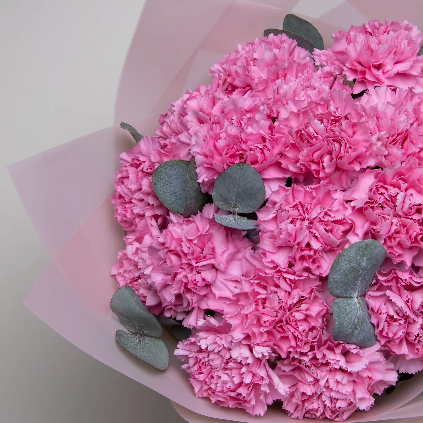Close-up of pink carnations and eucalyptus in bouquet