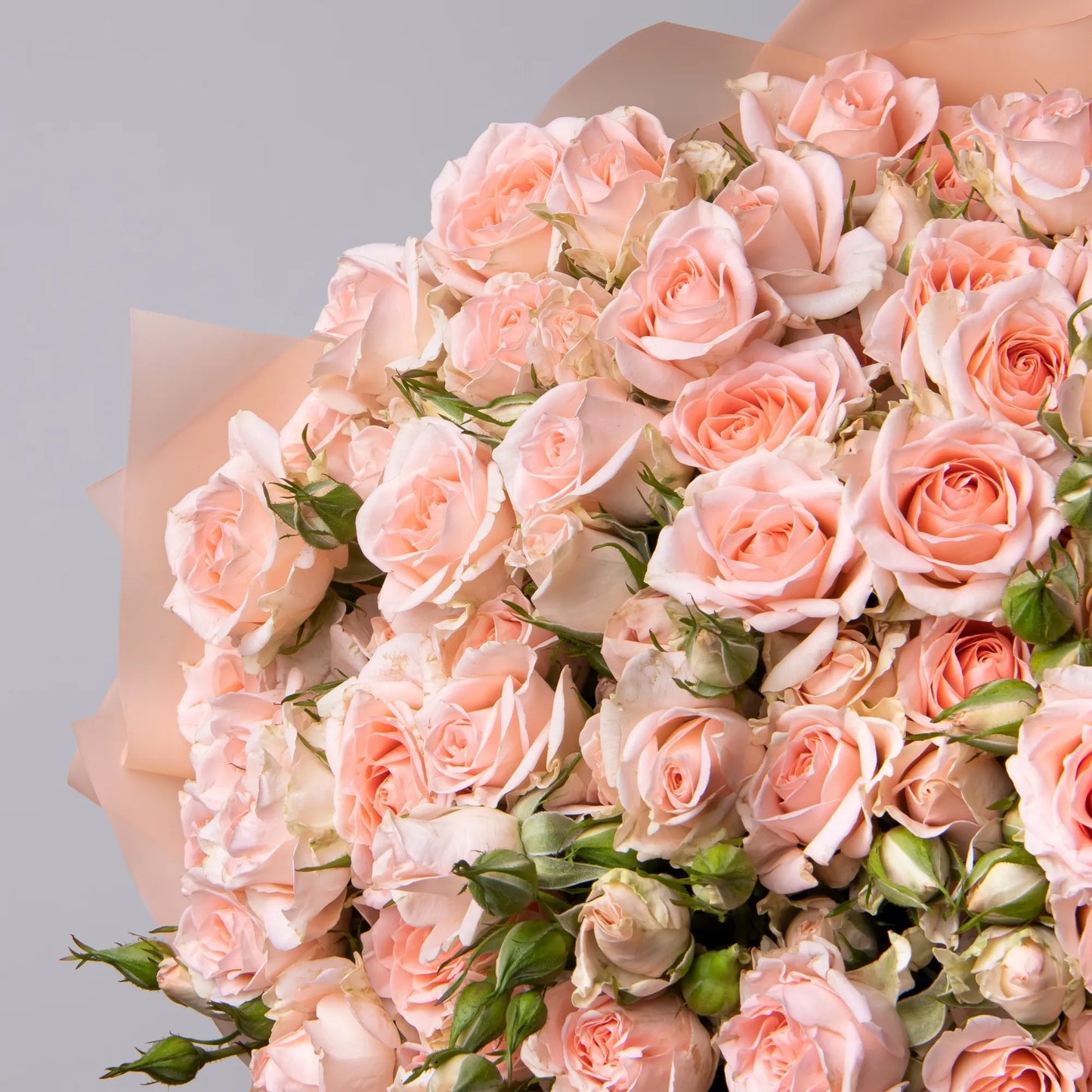 Close-up of pink spray roses in romantic floral bouquet