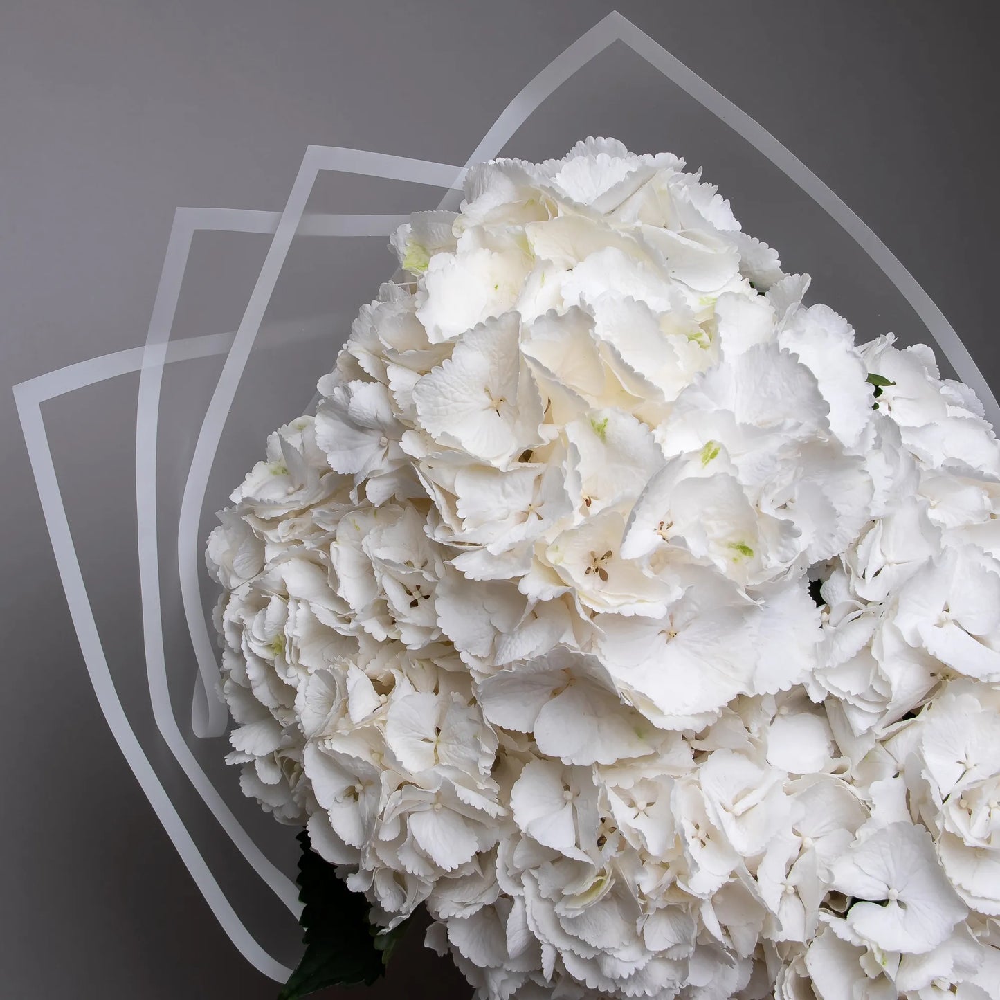 Close-up of white hydrangea petals in lush bouquet