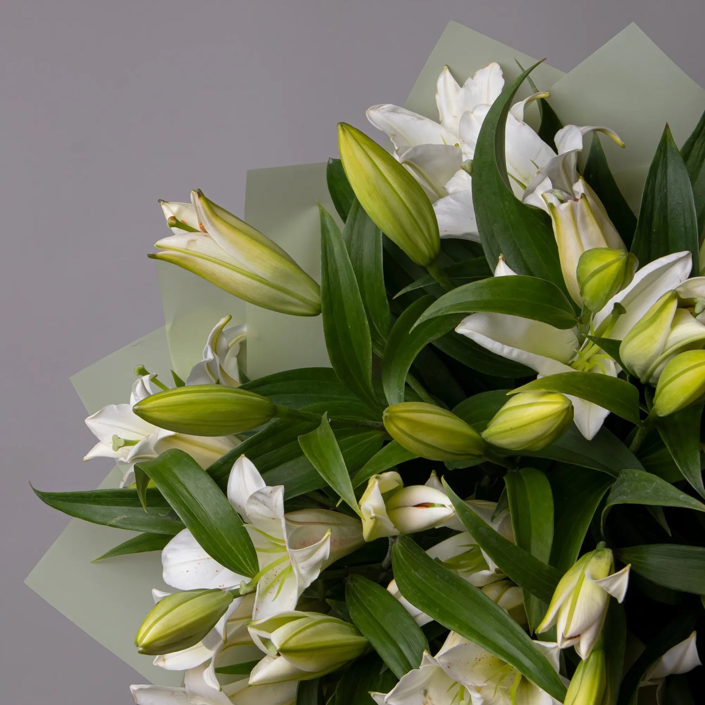 Close-up of white lilies in elegant floral arrangement