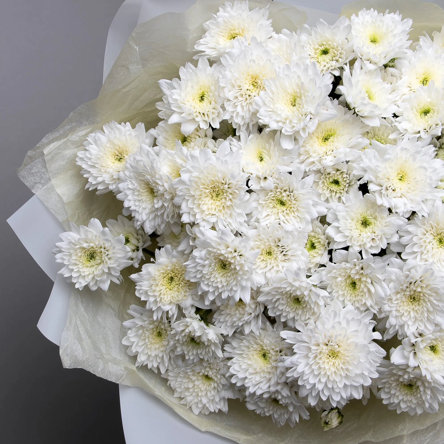 Close-up of white spray chrysanthemums in elegant bouquet