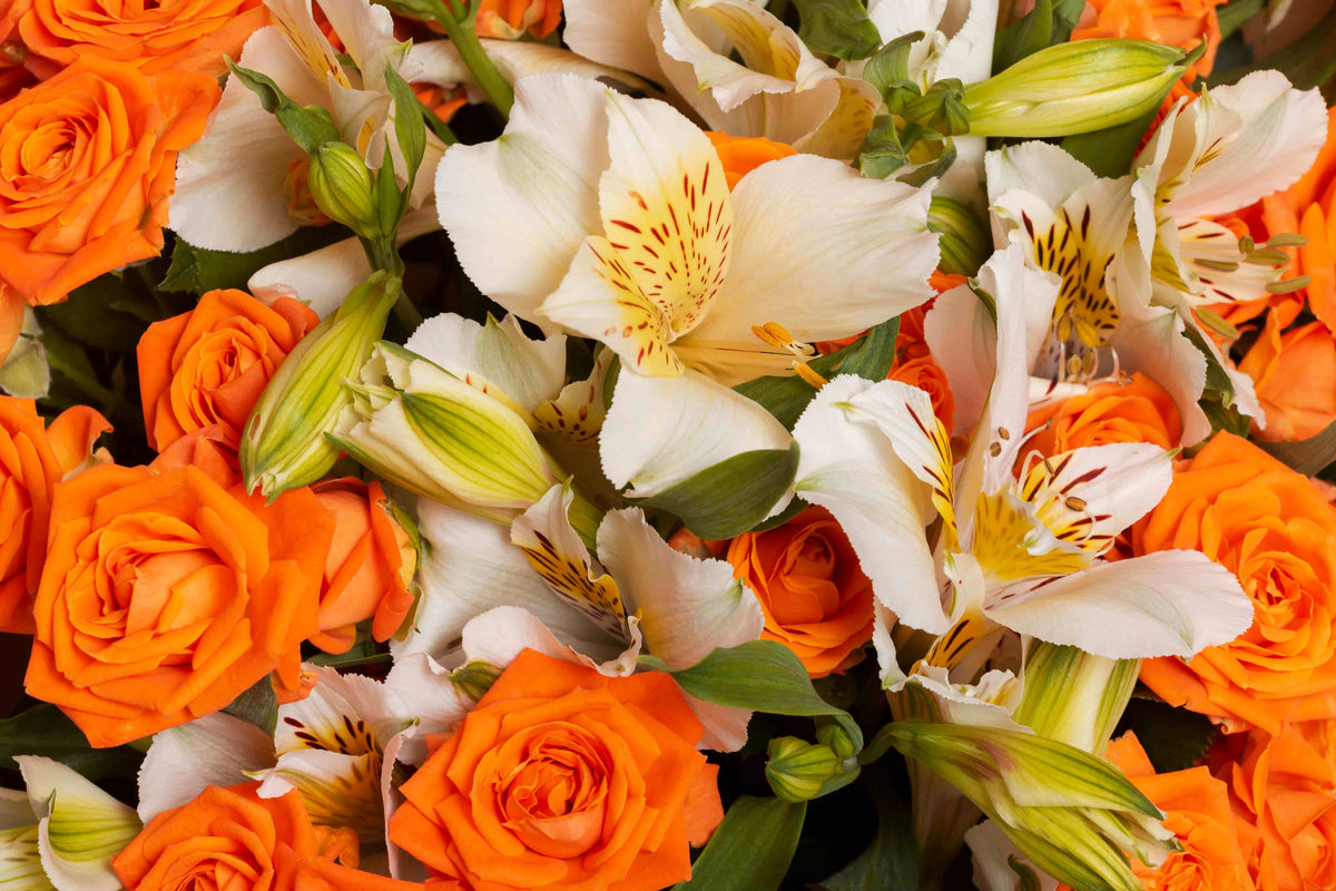 Thank you bouquet with lilies, roses and seasonal flowers in NYC