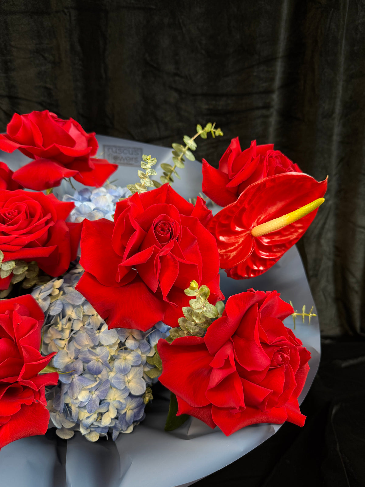 Red Roses & Blue Hydrangea Luxe Fusion Arrangement