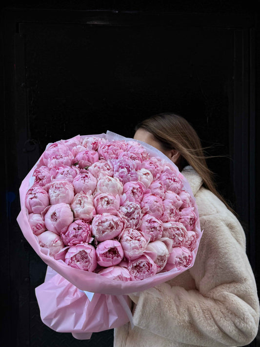 Large bouquet of 50 pink peonies wrapped in pastel paper