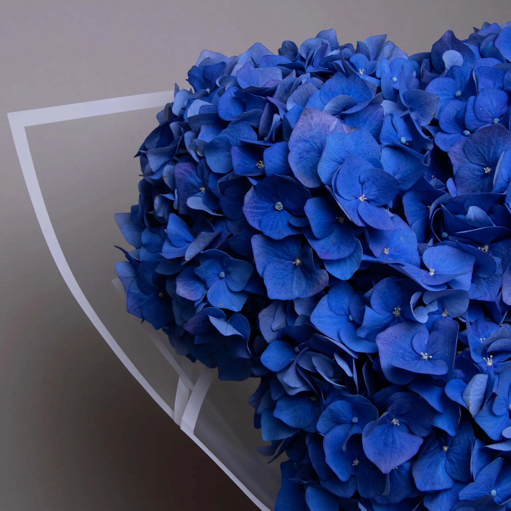 Close-up of blue hydrangea blooms in lush bouquet