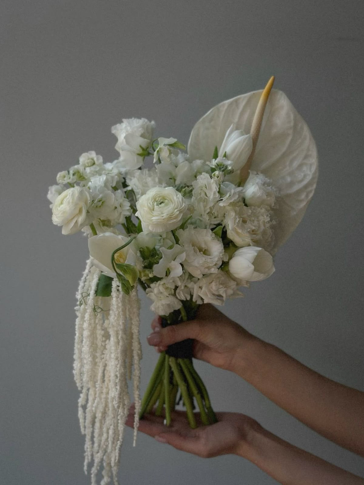Modern white bridal bouquet with anthurium, ranunculus, tulips, and cascading amaranthus.