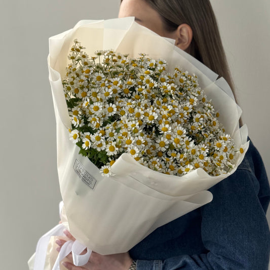 Bouquet of 20 chamomile stems with greenery