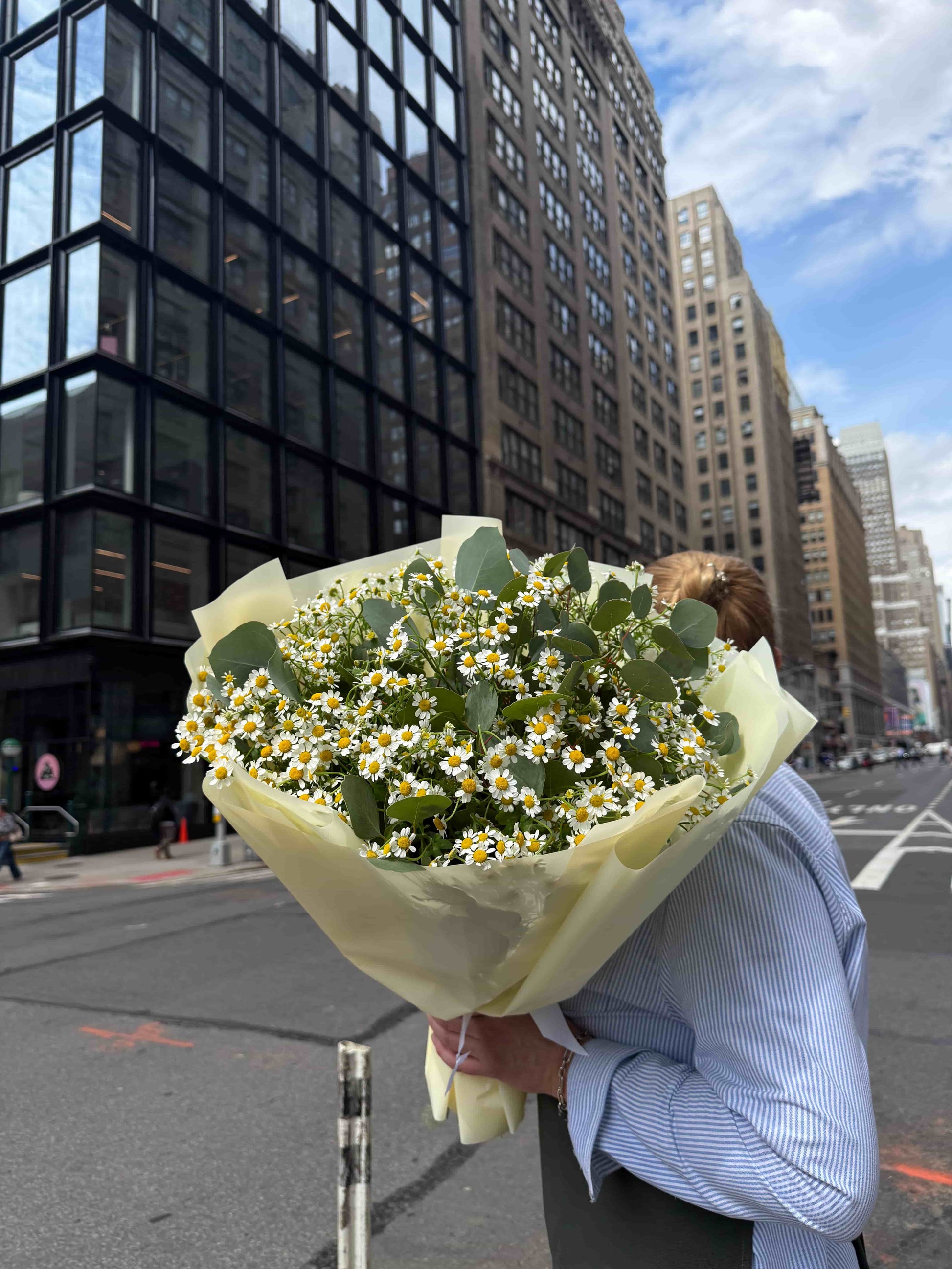 Bouquet of 20 white daisies with eucalyptus wrapped in soft paper