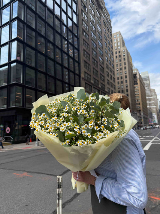 Bouquet of 20 white daisies with eucalyptus wrapped in soft paper