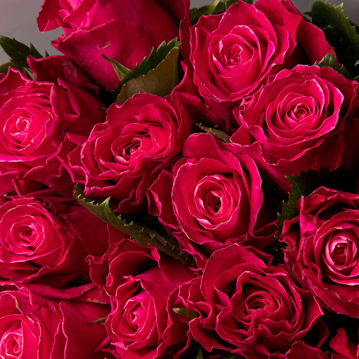 Close-up of hot pink rose petals in vibrant bouquet