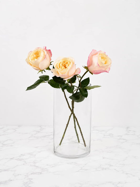 Large clear glass cylinder vase for fresh flower bouquets