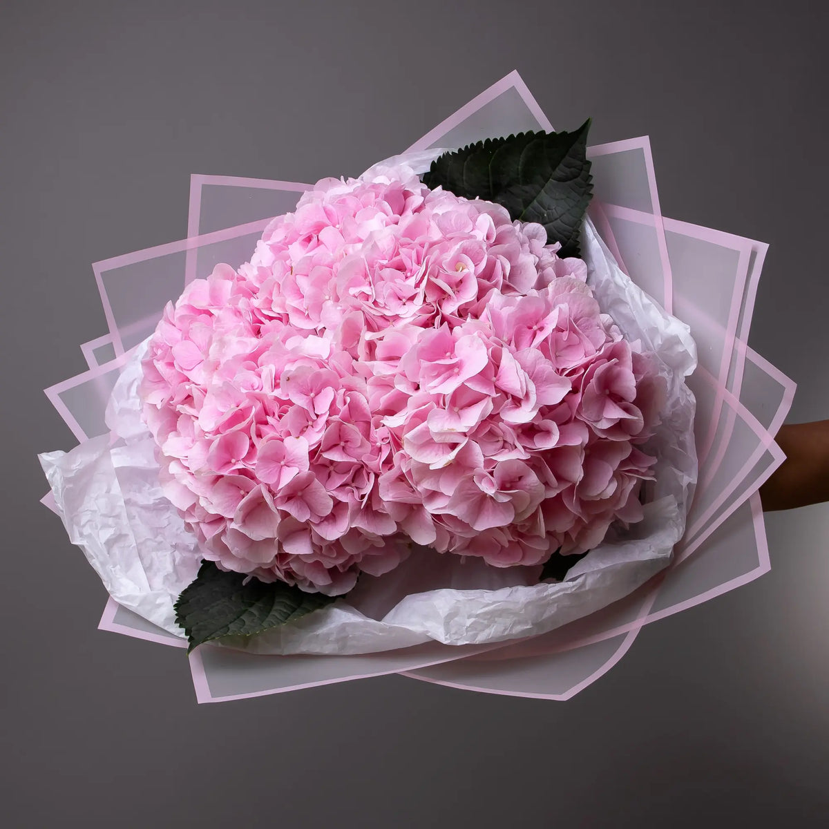Bouquet of 6 pink hydrangeas with soft greenery
