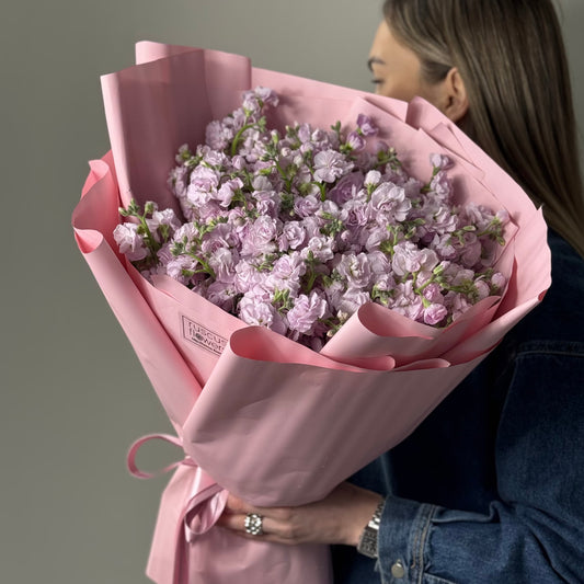 Bouquet of 12 pink stock (matthiola) stems with greenery