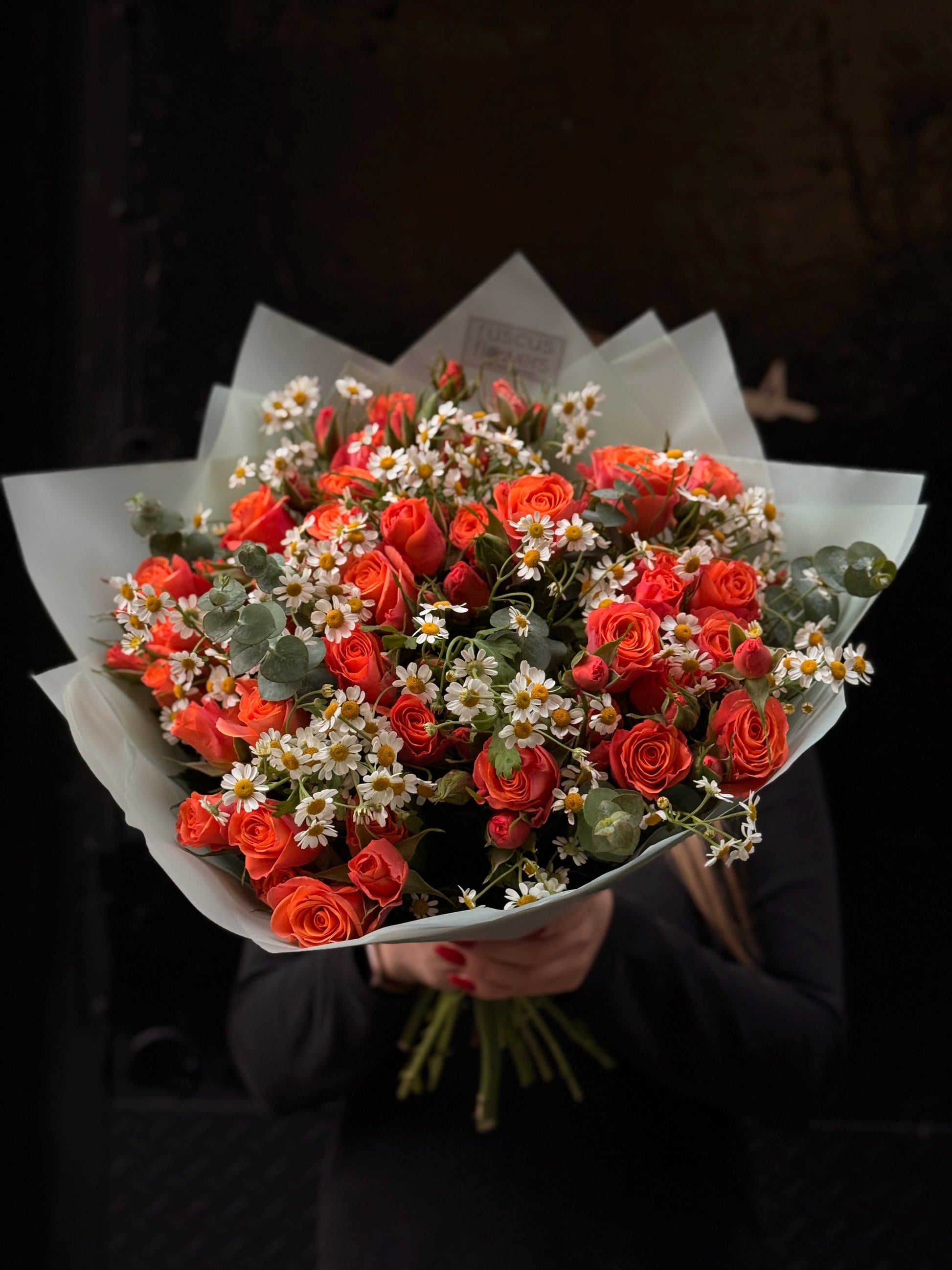 Bouquet of red and white flowers held against a dark background