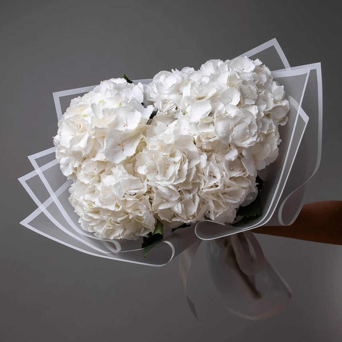 Bouquet of 6 white hydrangeas with soft greenery