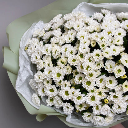 Close-up of white santini daisy chrysanthemums in fresh bouquet