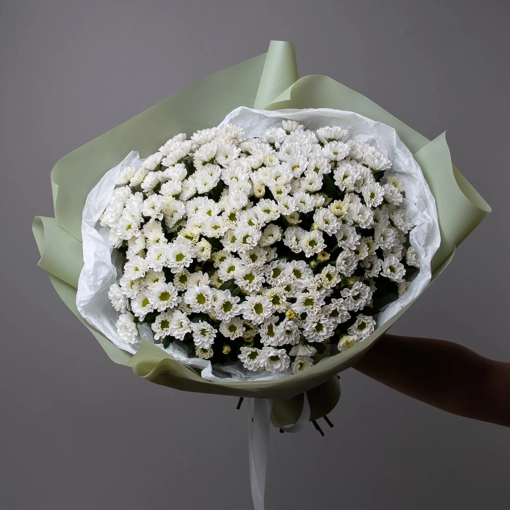 Bouquet of 20 white santini chrysanthemums with greenery